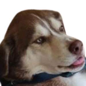 WilliamHeinrich's avatar